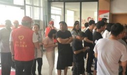 网红爆料新之助视频播放,新之助视频播放背后的惊人真相